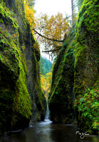 Rivers
